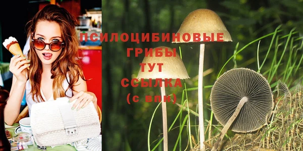 2c-b Карпинск