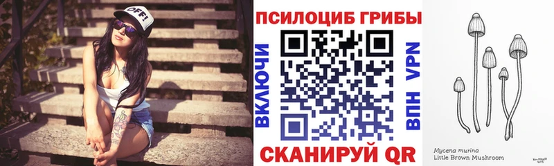Купить  Заринск  Галлюциногенные грибы MAGIC MUSHROOMS 