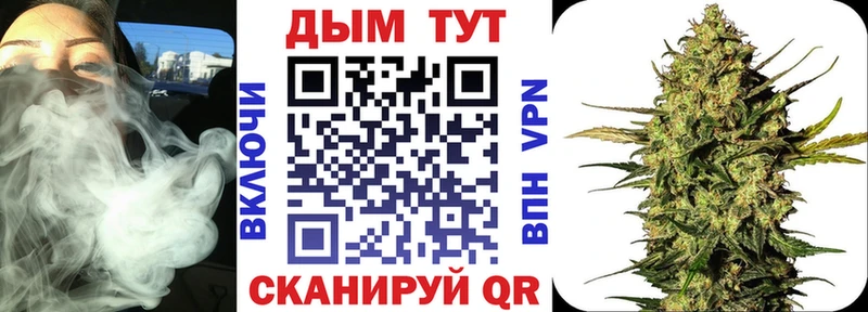 Купить  Заринск  Каннабис план 